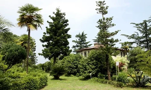 01 baghe felahat rasht