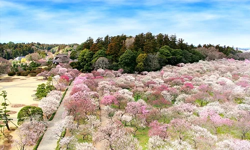 Kairaku-en japanese garden