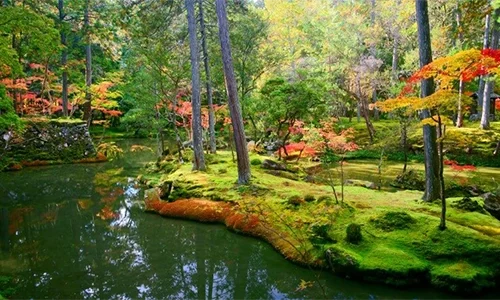 Saihō-ji Moss japanese garden