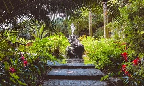 mortella-garden garden